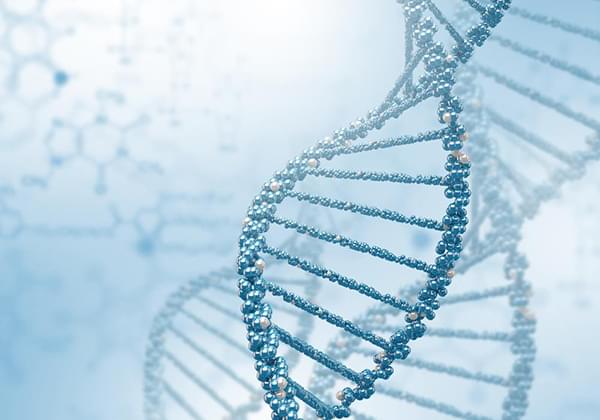 Nutrigenomics Practitioner Training Bundle